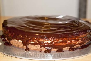tort v glazuri
