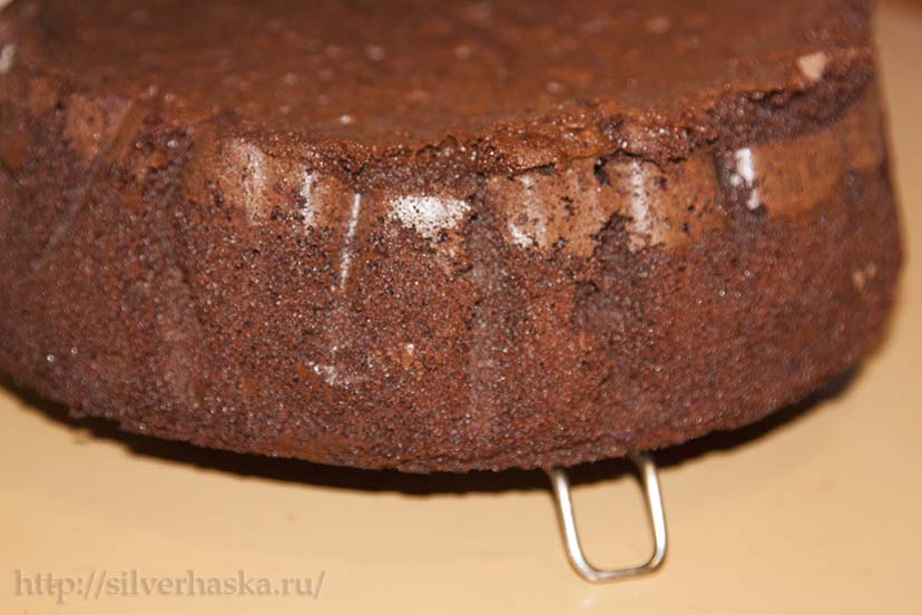 biskvit-dlya-shokoladnogo-torta