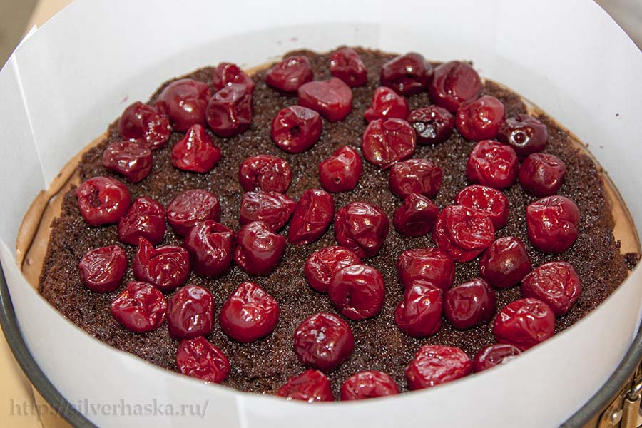 proslaivanie-torta-vishney